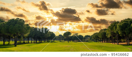 Wide panorama of a clearing on a beautiful golf course with pine trees and a dawn sky and clouds Wide panorama of a clearing on a beautiful golf course with pine trees and a dawn sky and clouds 95416662