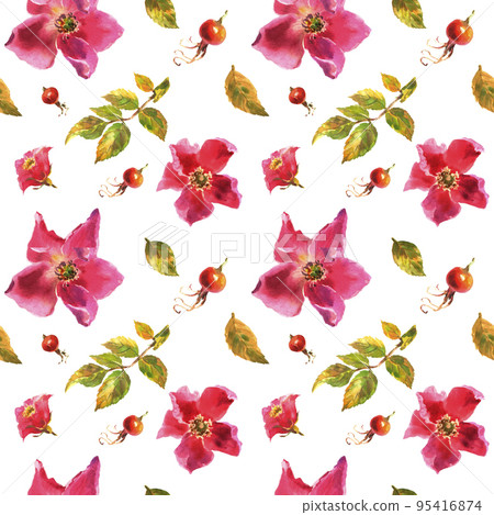 Watercolor illustration. Seamless pattern of rose hips on a white background. Watercolor illustration. Seamless pattern of rose hips on a white background. 95416874