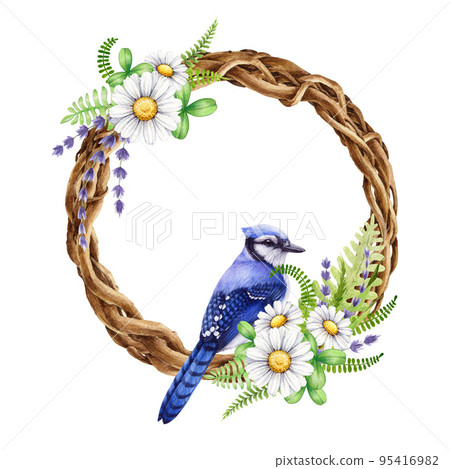 Floral vine wreath with garden flower and blue jay bird. Watercolor illustration. Hand drawn vintage style decor element. Twisted vine rustic style wreath with daisy , lavender flowers, fern, bird 95416982