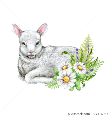 Cute baby lamb with daisy flowers and green leaves decor. Watercolor illustration. Hand drawn white lamb with floral decoration element. Isolated on white background 95416983