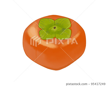 persimmon autumn fruit persimmon autumn fruit 95417249