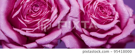 Colorful flower bouquet from red roses for use as background. Banner size.3d Colorful flower bouquet from red roses for use as background. Banner size.3d 95418000