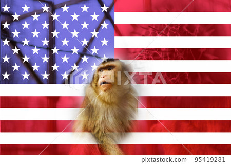 Monkeypox new disease dangerous over the world. Monkeypox virus pandemic in USA. Virus transmitted to humans from animals. Pox virus vaccine. Smallpox test. Pandemic, quarantine. America flag 95419281
