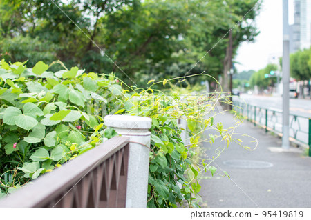 Sotobori Street/Shinjuku Ward, Tokyo Sotobori Street/Shinjuku Ward, Tokyo 95419819