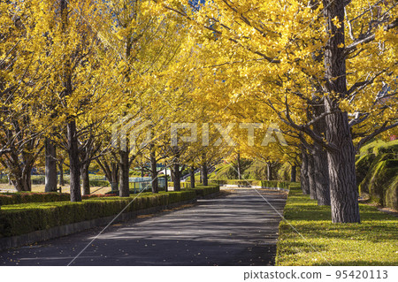 Nirasaki Central Park 01 95420113