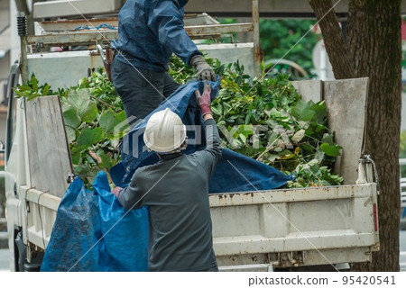 Roadside tree pruning work - Loading the truck Roadside tree pruning work - Loading the truck 95420541