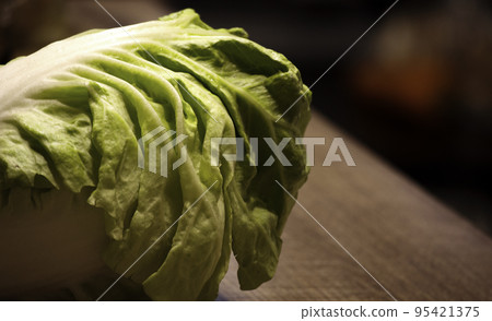 健康的綠色蔬菜: 高麗菜 健康的綠色蔬菜: 高麗菜 95421375