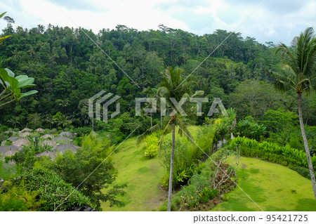 Green juicy palm trees against a beautiful blue sky. Paradise Island Bali Green juicy palm trees against a beautiful blue sky. Paradise Island Bali 95421725