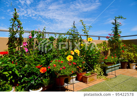 A flower garden in the blue sky, a gorgeous roof balcony full of flowers A flower garden in the blue sky, a gorgeous roof balcony full of flowers 95422578