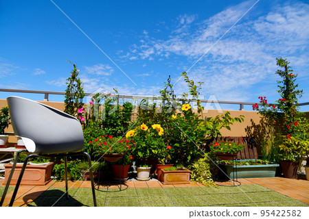 公寓寬敞的屋頂陽台上盛開著五顏六色的熱帶花卉 公寓寬敞的屋頂陽台上盛開著五顏六色的熱帶花卉 95422582