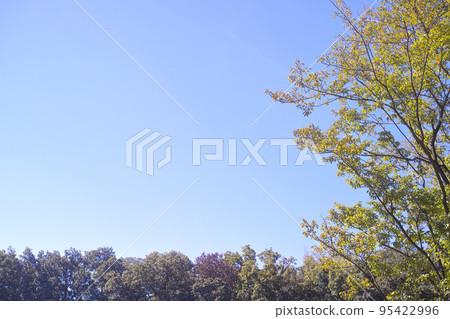 Blue sky autumn image Blue sky autumn image 95422996