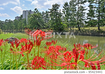 創價宿散步/創價松原國家風景名勝區 創價宿散步/創價松原國家風景名勝區 95423441