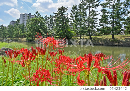 創價宿散步/創價松原國家風景名勝區 95423442