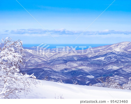 白雪覆蓋的樹木和山脈，遙遠的海平面（北海道，二世谷） 95423460