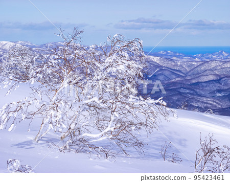 白雪覆蓋的樹木和山脈,遙遠的海平面(北海道,二世谷) 白雪覆蓋的樹木和山脈,遙遠的海平面(北海道,二世谷) 95423461