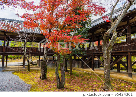 Autumn in Arashiyama, Kyoto, Seiryo-ji Temple (Saga Shaka-do) with colored leaves connecting corridor Autumn in Arashiyama, Kyoto, Seiryo-ji Temple (Saga Shaka-do) with colored leaves connecting corridor 95424301