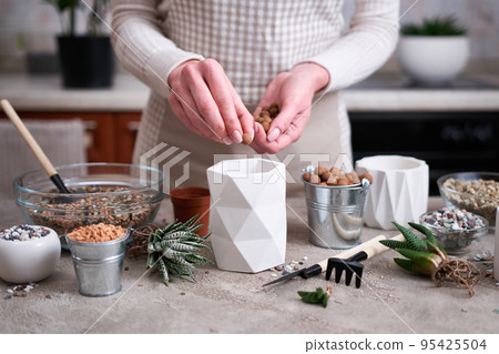 Woman putting expanded clay into White ceramic Pot for Succulent haworthia planting 95425504