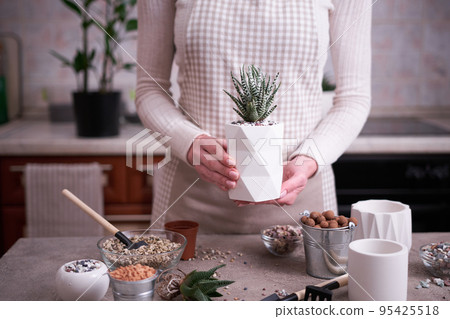 Woman holding Potted Succulent haworthia Plant in White ceramic Pot Woman holding Potted Succulent haworthia Plant in White ceramic Pot 95425518