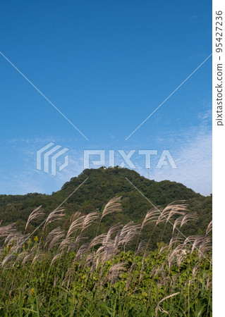 鳥取縣西白郡寶木町鬼泉山和蒲葦 鳥取縣西白郡寶木町鬼泉山和蒲葦 95427236
