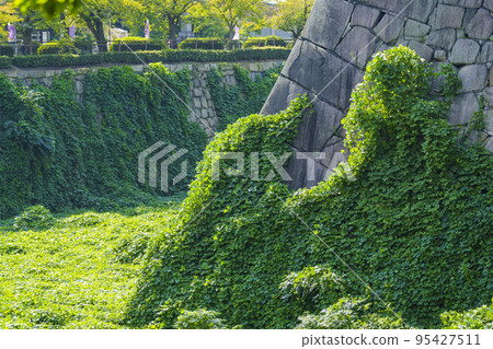 大阪城公園雜草叢生的石牆 大阪城公園雜草叢生的石牆 95427511