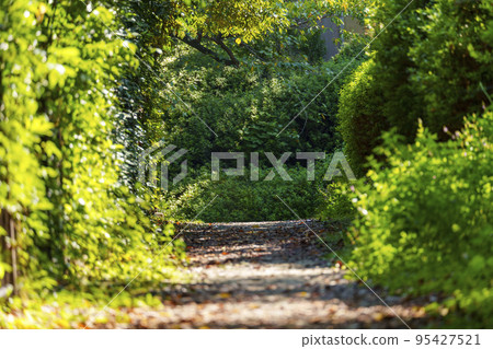 Forest tunnel in Osaka Castle Park 95427521