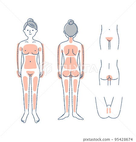 Explanation illustration of hair removal parts whole body / VIO female 95428674