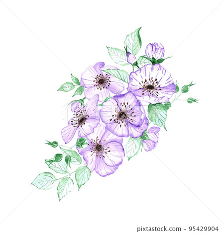 Handdrawn anemone composition. Watercolor wind flower on the white background. Scrapbook design elements. Typography poster, card, label, banner. Handdrawn anemone composition. Watercolor wind flower on the white background. Scrapbook design elements. Typography poster, card, label, banner. 95429904