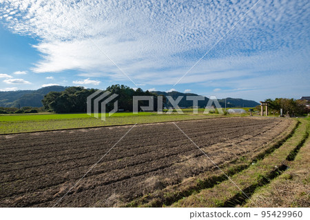 鳥取縣西白郡寶木町宮原市真壽之森樂樂福神社 鳥取縣西白郡寶木町宮原市真壽之森樂樂福神社 95429960