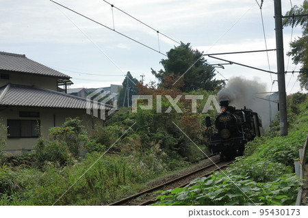 蒸汽機車沿草地軌道超速行駛的視圖 95430173