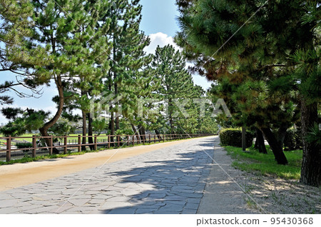 Soka-juku Walk/Oku-no-Hosomichi 風景區 Soka Matsubara Soka-juku Walk/Oku-no-Hosomichi 風景區 Soka Matsubara 95430368