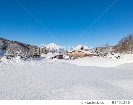 A view of Mt. Yotei and Mt. Shiribetsu beyond the snowfield (Kimobetsu, Hokkaido) A view of Mt. Yotei and Mt. Shiribetsu beyond the snowfield (Kimobetsu, Hokkaido) 95431256
