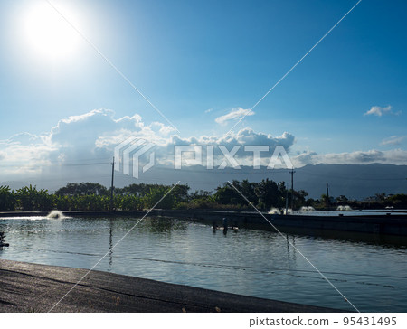 fish ponds dam is fenced off from big lake. industry of fish farming in Asia 95431495