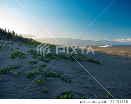 Sand dunes against sunset light on a beach in Yilan,Taiwan. 95431518