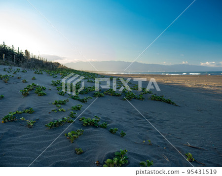 Sand dunes against sunset light on a beach in Yilan,Taiwan. 95431519