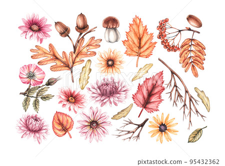 Watercolor autumn set on a white background 95432362