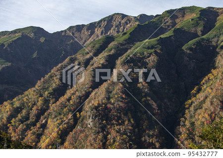 山的秋葉 95432777