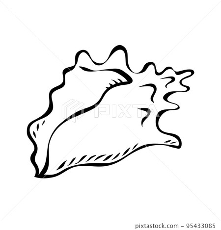 Black and white sketch sea shell mollusc Black and white sketch sea shell mollusc 95433085