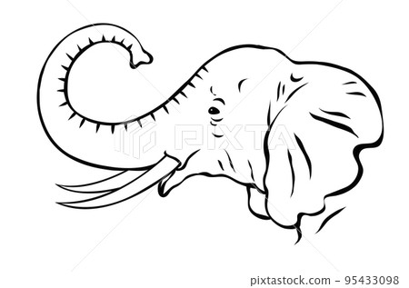 African elephant with tusks black and white sketch 95433098