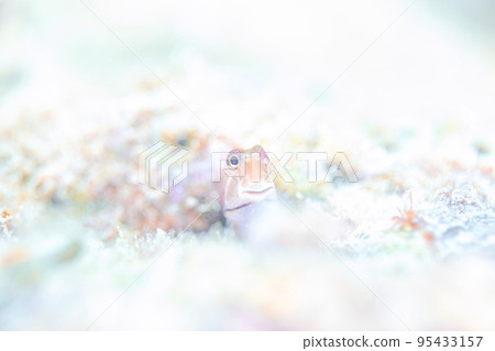 面部表情 面部表情 95433157