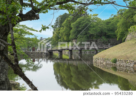 Fresh green reflected in the moat of Otemon Bridge (Hikone Castle) 95433280