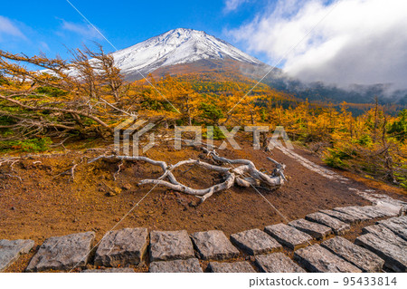 後院的秋葉富士山 後院的秋葉富士山 95433814