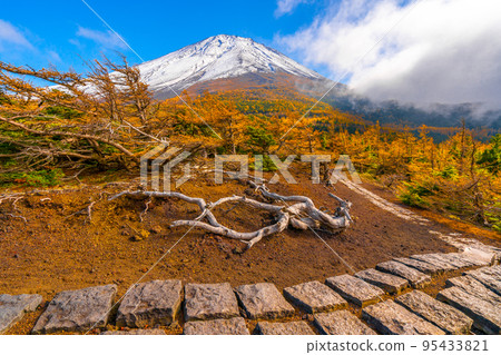 後院的秋葉富士山 後院的秋葉富士山 95433821