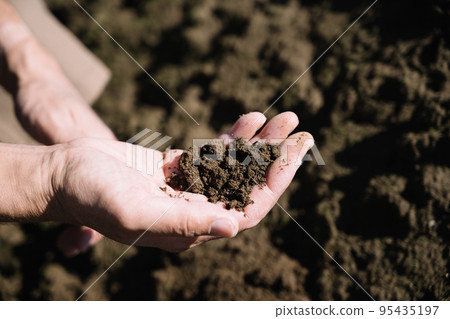 Hands of men with agriculture and soil 95435197
