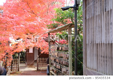 京都嵐山常寂光寺的秋葉和繪馬 京都嵐山常寂光寺的秋葉和繪馬 95435534