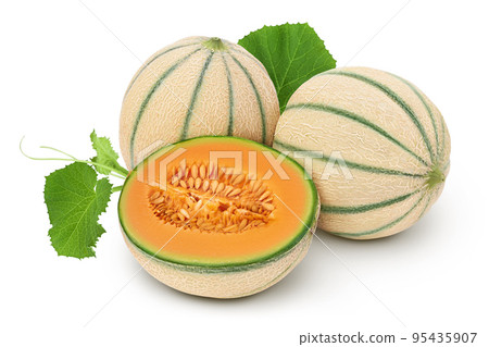 Cantaloupe melon isolated on white background with full depth of field, 95435907