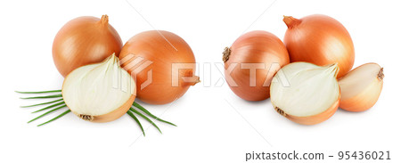 yellow onion isolated on white background close up 95436021
