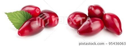 Red berries of cornel or dogwood with leaf isolated on white background 95436063