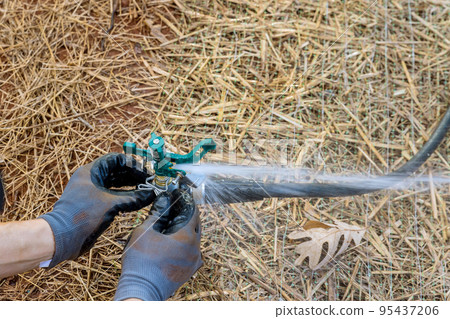 Gardening landscaping by professional technician installing lawn sprinklers watering yard near new home Gardening landscaping by professional technician installing lawn sprinklers watering yard near new home 95437206