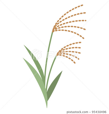 Illustration of a simple pampas grass Illustration of a simple pampas grass 95438496