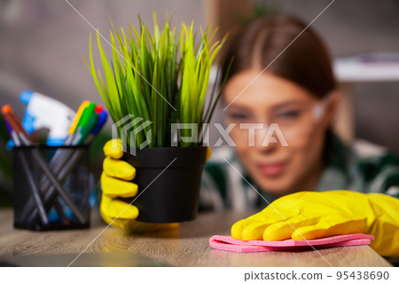 A housewife takes care of houseplants at home A housewife takes care of houseplants at home 95438690